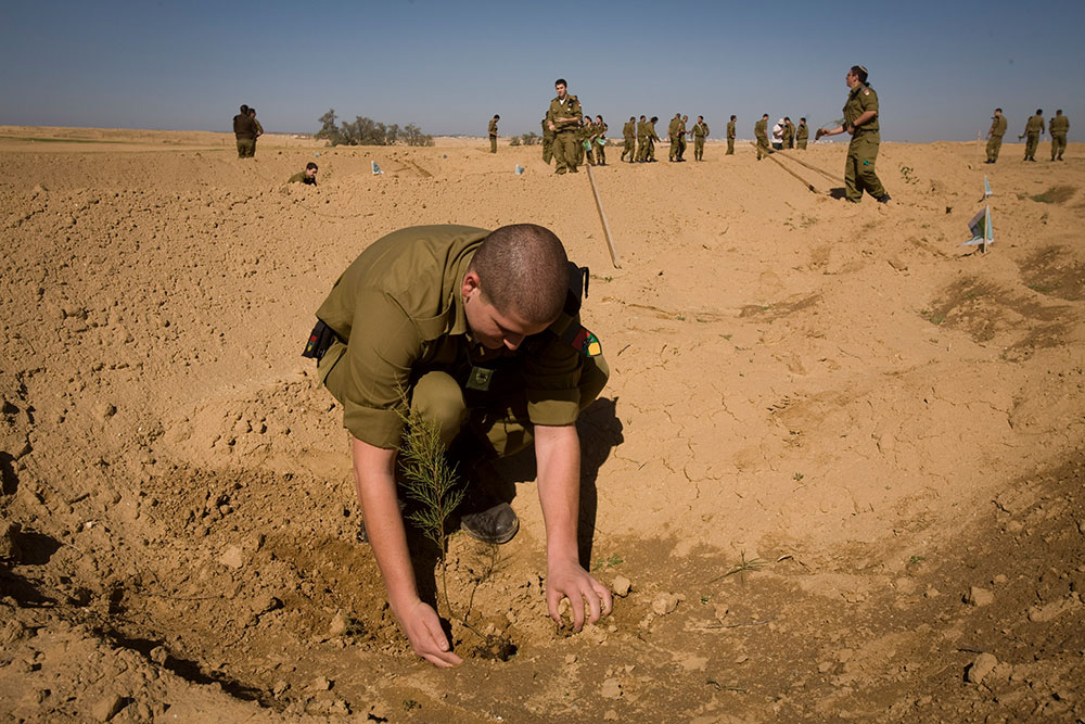 Israelische Soldaten pflanzen Bäume in al-Araqib, bei einem Einsatz für den JNF (jüdischen Nationalfonds), Negev, Israel, 2010. Foto: Activestills