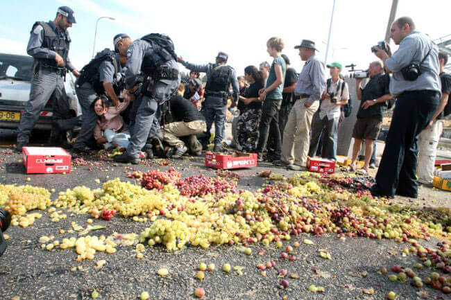 Eine Aktion von Ta'ayush gegen Besatzung und Beschränkung der palästinensischer Bauern durch Checkpoints. 2006 (Foto: Ta'ayush)