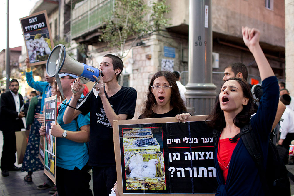 Tierrechtler:innen protestieren gegen die traditionelle Schlachtung von Hühnern („Kaparot-Zeremonie“) vor Jom Kippur (Versöhnungsfest), Westjerusalem 2007. Foto: Activestills