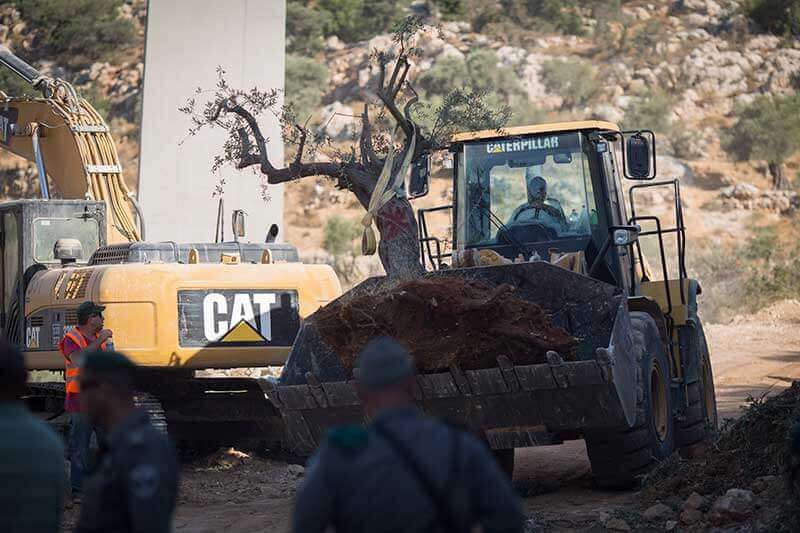 Bau der Sperranlage, Beit Jala in der West Bank, 20.8.2015, Foto: Activestills)